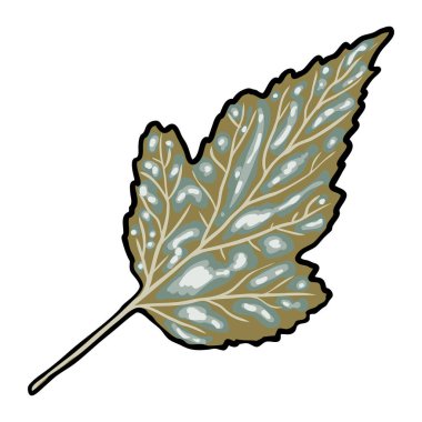 Yeşil orman eğreltiotu, el çizimi sanat yaprakları, gerçek doğal yapraklardan yapılmış. Şehir manzaraları ve bahçeleri için dekoratif. Park bitkileri, yapraklar ve genç eğreltiotları. Vektör.