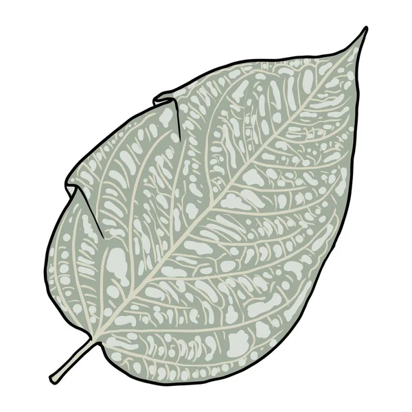 Fougère Verte Feuillage Art Dessiné Main Faite Vraies Feuilles Naturelles — Image vectorielle