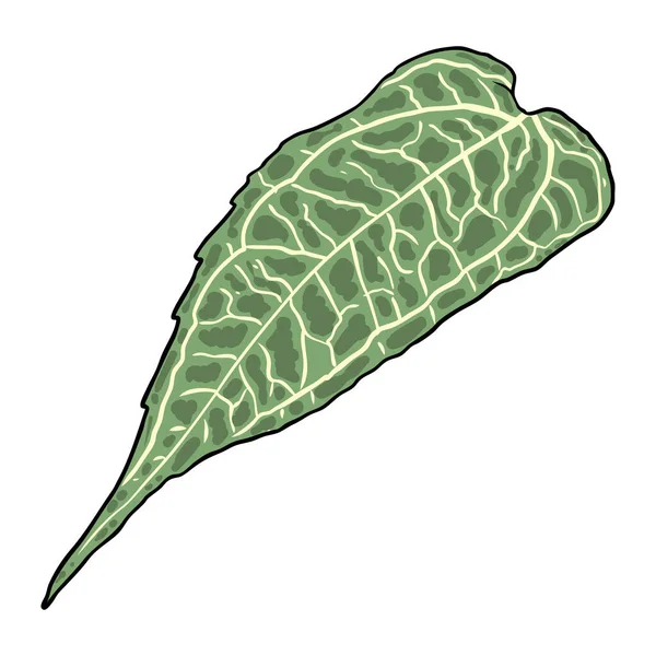 緑の森のシダ 手描きの芸術の葉 本物の自然の葉で作られた 公園の森林植物の葉 葉や若いシダ ベクトル — ストックベクタ