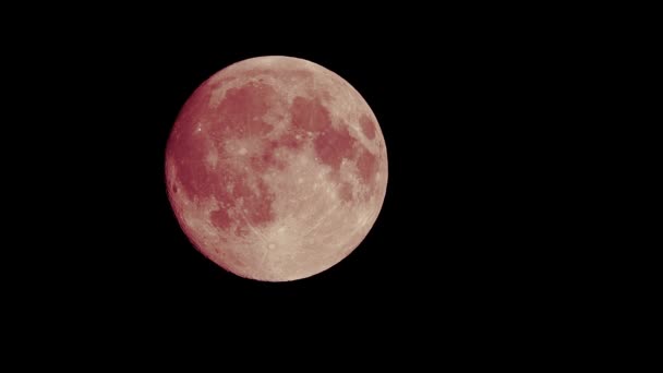 Червоний Повний Місяць Темно Чорному Фоні Неба Знятий Поверхні Землі — стокове відео