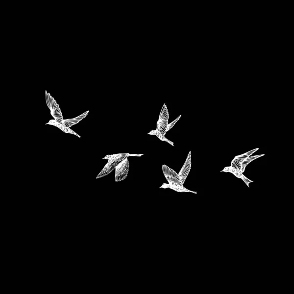 Ручные Штрихи Птицы Стадо Рисуем Скетч Черном Фоне Вдохновляющие Чернила — стоковый вектор