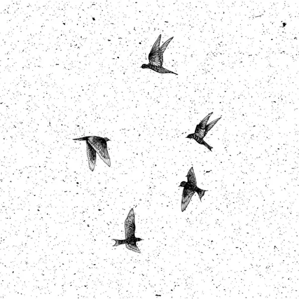 Set Pennellate Nere Disegnate Mano Uccelli Gregge Disegno Schizzo Texture — Vettoriale Stock