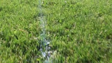 Güneşli bir günde futbol sahası çimenleri, yazın yeşil çimenli futbol sahası. Oyunlar ve etkinlikler için boş spor stadyumu.