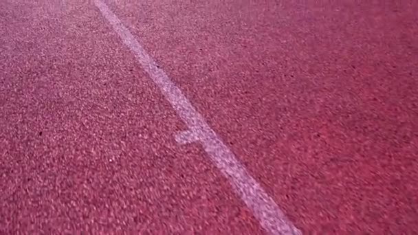 Artificial Sport Field Surface White Lines Marks Sunny Day Road — Stock Video