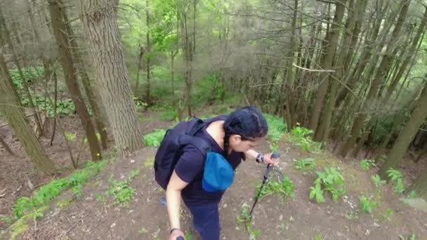 Жінка Туристична Походи Ліс Під Час Літньої Поїздки Або Відпустки — стокове відео