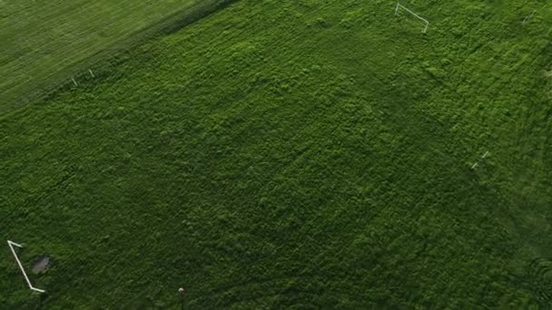 足球场上的青草在黄金时段 足球场上的青草在黄昏 供游戏和活动用的空旷体育馆 — 图库视频影像