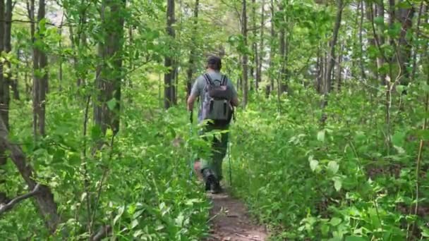 Чоловік Подорожує Лісом Під Час Літньої Поїздки Або Відпустки Відкритому — стокове відео