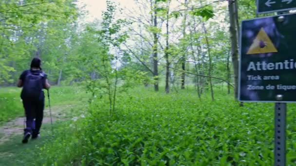 Внимание Тик Области Предупреждающий Знак Провинциальном Парке Лесу Клещи Являются — стоковое видео
