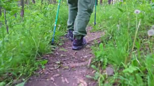 Человек Турист Походы Лес Время Летней Поездки Отдыха Ноги Кадре — стоковое видео