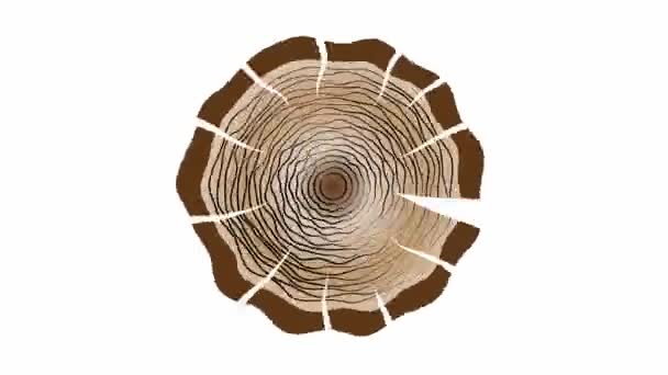 Querschnitt Des Baumes Mit Altersringen Bewegungsgrafik Animation Kreisförmiges Stück Holz — Stockvideo