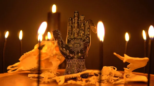 Fortune Teller Hand Eller Palmistry Häxbordet Med Djurben Och Insekter — Stockfoto