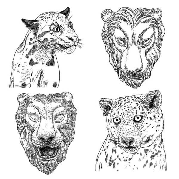 Conjunto Tigre Vivo Leopardo Diversa Vista Rugiendo Gruñendo Dibujo Vivo — Vector de stock
