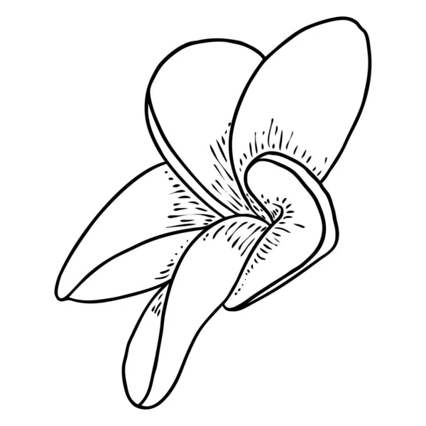 Salon Spa Plumeria Fleur Ligne Art Élément Design Huile Yoga — Image vectorielle