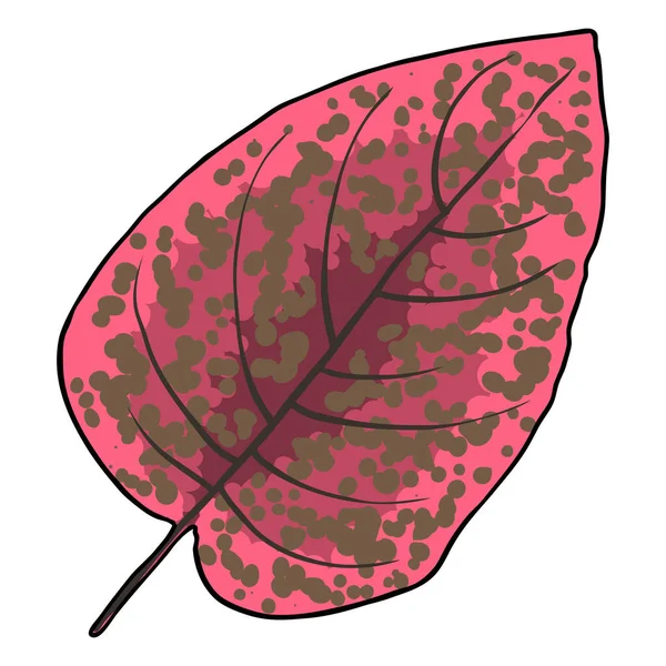 仮説ピンクスプラッシュやポルカドット植物の葉 科フクロスタチャ属の植物で 熱帯の葉が出ます ベクトル — ストックベクタ