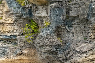 The Grotto yakınlarındaki Ontario, Kanada 'daki Bruce Peninsula Ulusal Parkı' ndaki Indian Head Cove, Gürcistan Körfezi Patikası ve Tobermory Turizm Alanındaki Kıbrıs Gölü. Kanada ikameti. 