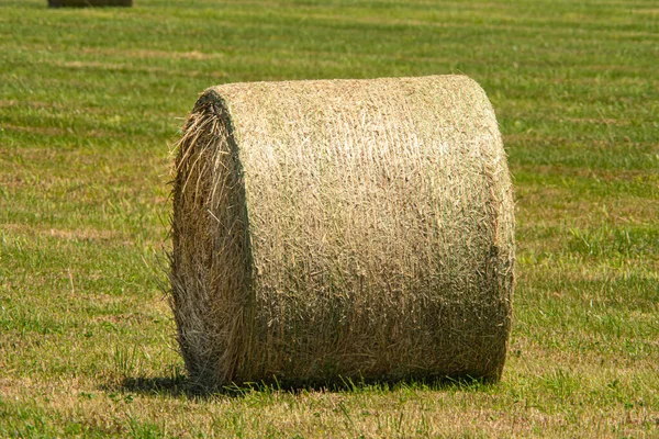 Feno Fardos São Colocados Toda Fazenda Campo Paisagem Ensolarada Com — Fotografia de Stock