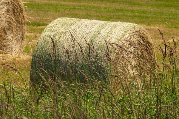 Haystack Στο Πεδίο Ηλιόλουστη Καλοκαιρινή Ζεστή Μέρα Hay Μπάλα Από — Φωτογραφία Αρχείου