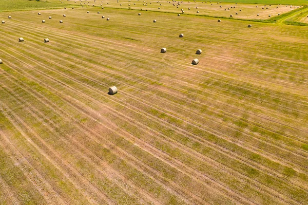 Heustapeln Auf Dem Feld Sonnigen Sommertagen Heuballen Aus Trockenem Gras — Stockfoto