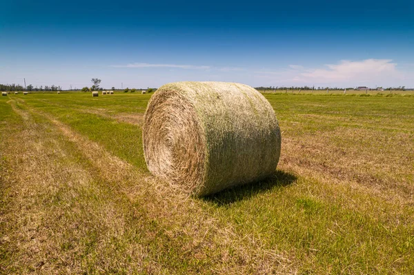 Haystack Straw Dry Grass Rolls Harvesting Season Countryside Farm Ranch — Fotografia de Stock