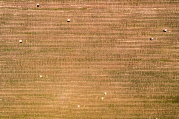 Paja Redonda Pajar Rollos Hierba Seca Después Temporada Cosecha Granja — Foto de Stock