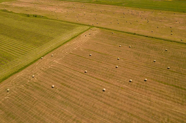 Summer Farm Scenery Haystacks Bales Hay Field Landscape Rolls Scattered — 스톡 사진