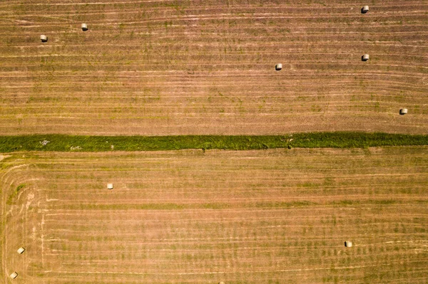 Campo Verão Com Fardos Feno Após Colheita Com Palheiro Rolos — Fotografia de Stock