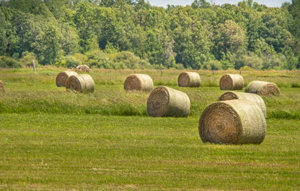 Haystack Field Sunny Summer Hot Day Hay Bale Dry Grass — Stockfoto