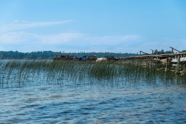 Huron Yarımadası Gölü 'ndeki Pike Körfezi suyunda balıkçı tekneleri için eski, yıpranmış ahşap tekne iskelesi. Su otları ve kır evleri ve kulübeleri olan çam ağaçları. Meditasyon ve rahatlama manzarası, Ontario Canada.