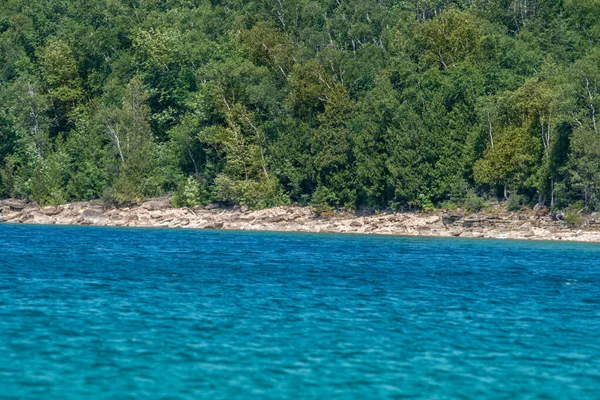 Amazing Clean Fresh Water Green Spruce Forest Rocks Lion Head — Stockfoto