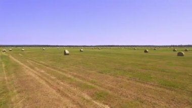 Round haystack straw dry grass rolls after harvesting season at countryside farm or ranch, autumn field harvest. Pile of hay straw and rolls of hay bales for cows and other livestock animals. Aerial.