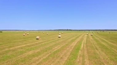 Round hay bale in the green farmers field. Straw haystack on farmland with blue sky, after harvest in America. Agriculture and farming.