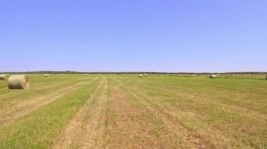 Aerial view of straw briquettes of round hay bale. Farmers season to cut and harvest crops at large farm for animal livestock feeding.