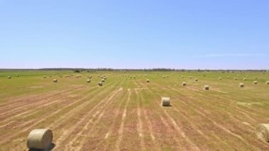 Aerial view of summer farm scenery with haystacks and bales of hay. Field landscape with rolls scattered around. Agriculture rural harvest landscape. Grass and wheat rolls left in a field.