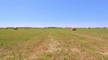 Aerial view of round hay bales in harvested field in Ontario Canada. Large stacks after harvesting. Hay bales straw storage on agricultural farm.