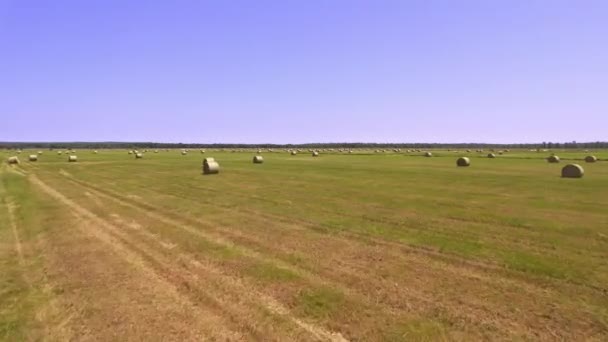 Haystack Straw Dry Grass Rolls Harvesting Season Countryside Farm Ranch — Vídeo de Stock