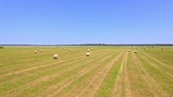 Hay Bale Green Farmers Field Straw Haystack Farmland Blue Sky — Stock video