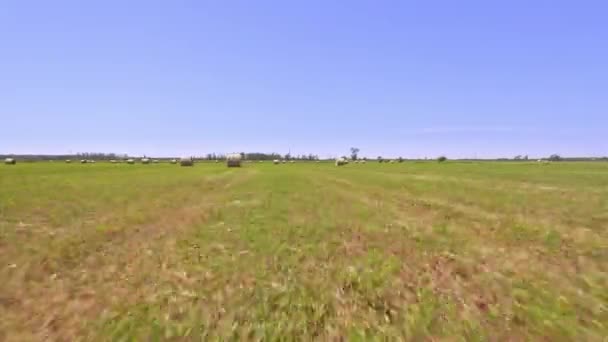 Aerial View Hay Bales Harvested Field Ontario Canada Large Stacks — Vídeo de Stock