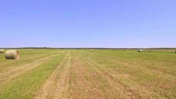 Aerial View Straw Briquettes Hay Bale Farmers Season Cut Harvest — Wideo stockowe