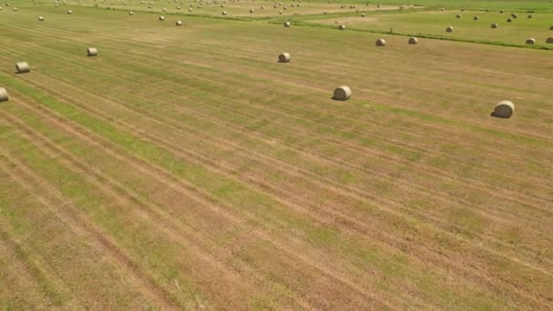 Aerial View Haystack Field Hot Day Hay Bale Dry Grass — Vídeo de Stock