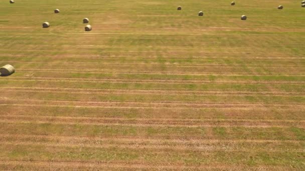 Hay Bale Green Farmers Field Straw Haystack Farmland Blue Sky — Stockvideo