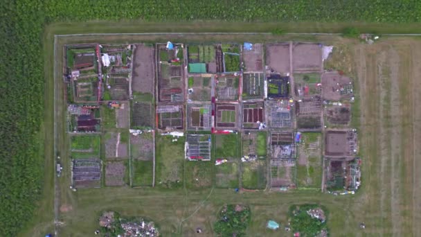 Jardinagem Urbana Cidade Urbanizada Horta Vista Aérea Cultivando Cultivando Legumes — Vídeo de Stock