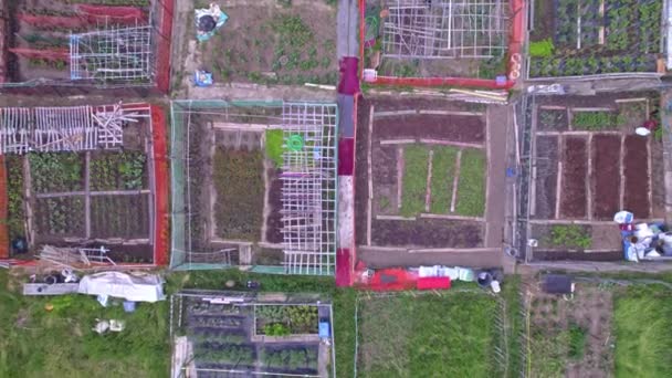 Vista Aérea Fazenda Urbana Cultivo Cultivo Legumes Cidade Vista Superior — Vídeo de Stock