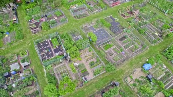 Luftaufnahme Der Städtischen Bauernhof Anbau Und Anbau Von Gemüse Der — Stockvideo