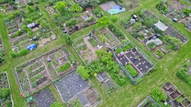 Γειτονιά Αστικός Κήπος Χέρια Καλλιεργούνται Πράσινα Λαχανικά Γεωργία Στην Πόλη — Αρχείο Βίντεο