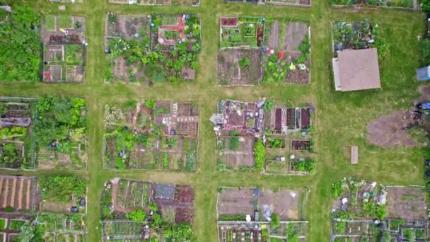 Vista Aérea Fazenda Urbana Cultivo Cultivo Legumes Cidade Vista Superior — Vídeo de Stock