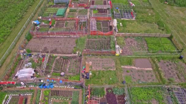 Stedelijk Tuinieren Verstedelijkte Moestuin Van Stad Luchtfoto Groeien Farming Groenten — Stockvideo