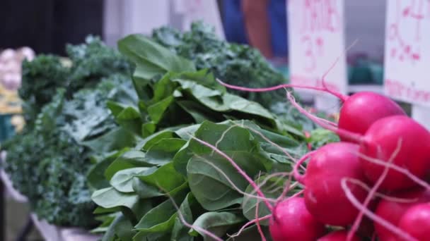 Moving Focus Fresh Ripe Harvested Vegetables Farmer Market Outdoor City — Video Stock