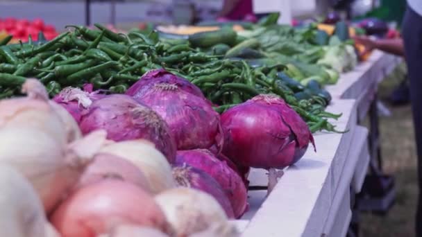 Moving Focus Fresh Ripe Harvested Vegetables Farmer Market Outdoor City — Stock videók
