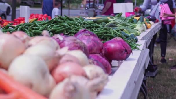 Focus Peppers Fresh Ripe Harvested Vegetables Farmer Market Outdoor City — Vídeo de Stock