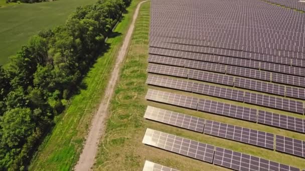 Violet Blue Purple Solar Panels Power Plant Field Sun Light — Video Stock